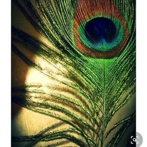 Meet your Posher, Mitu